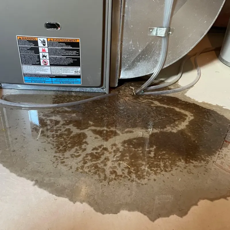 Appliance Leak Cleanup in Cyril, OK